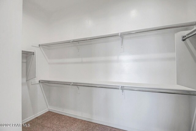 spacious closet with carpet flooring