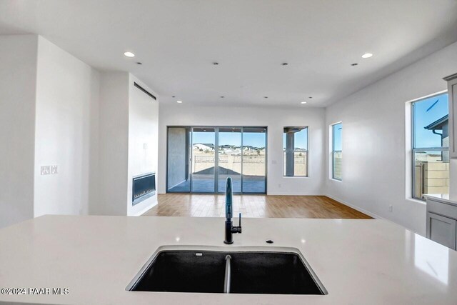 kitchen with sink and light hardwood / wood-style flooring