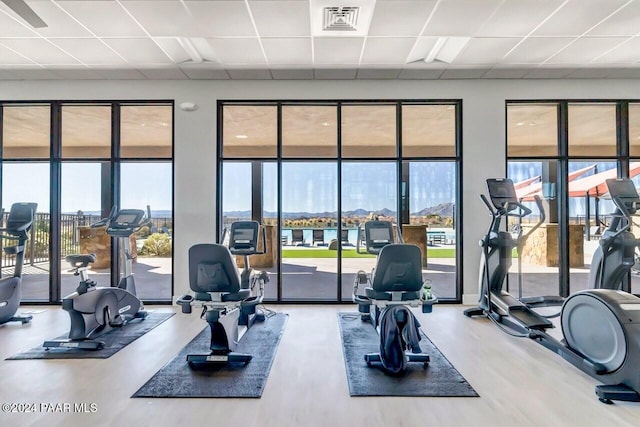 gym featuring a wall of windows and a drop ceiling