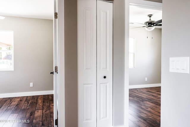 corridor with dark wood-type flooring