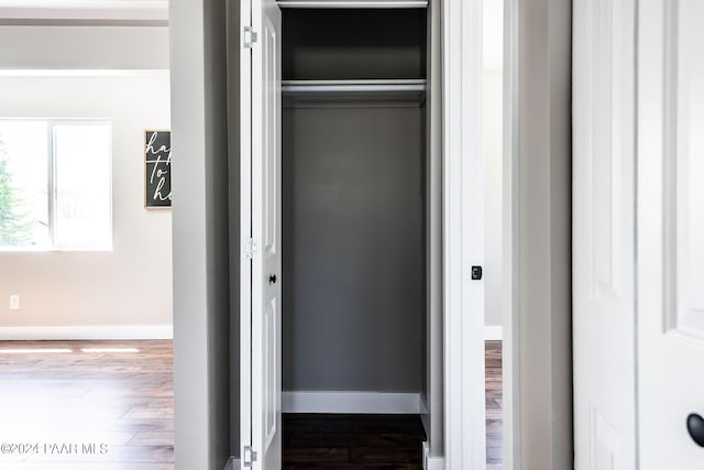 view of closet