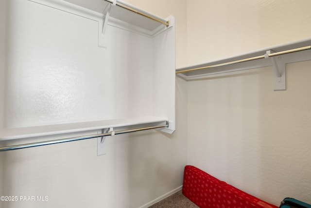 spacious closet featuring carpet floors