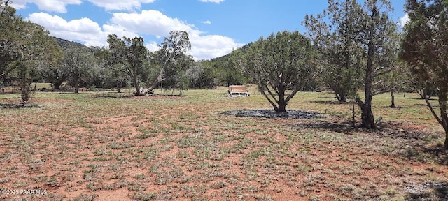 36999 W Avenida Del Destino, Seligman, AZ 86337 - photo 6