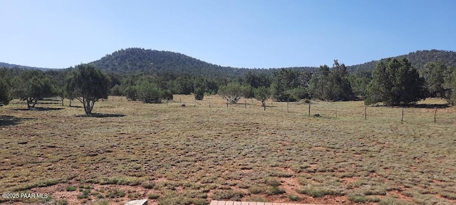 36999 W Avenida Del Destino, Seligman, AZ 86337 - photo 25