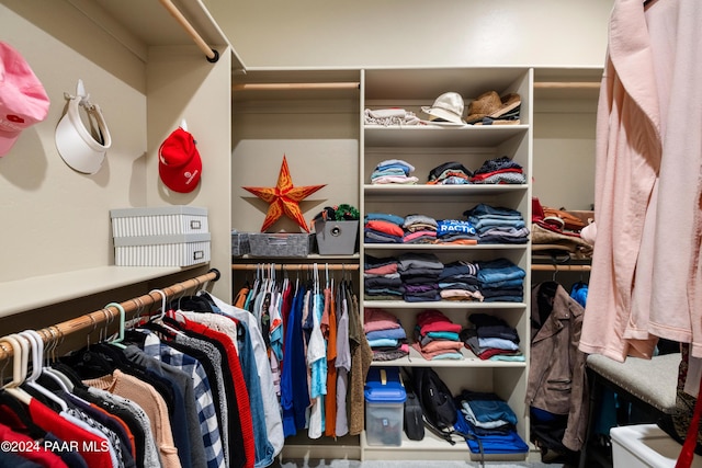 view of spacious closet