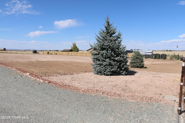 view of yard featuring a rural view