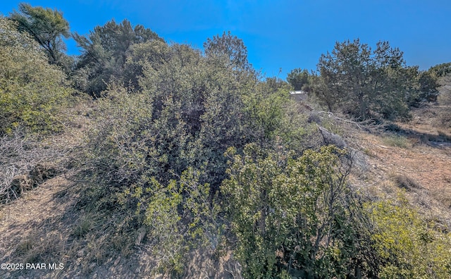 20850 E Larry Ln, Mayer, AZ 86333