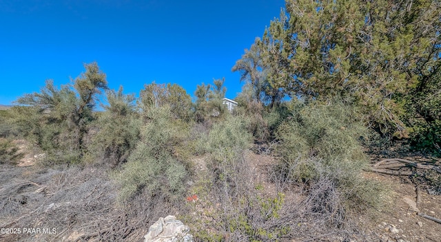 20850 E Larry Ln, Mayer, AZ 86333