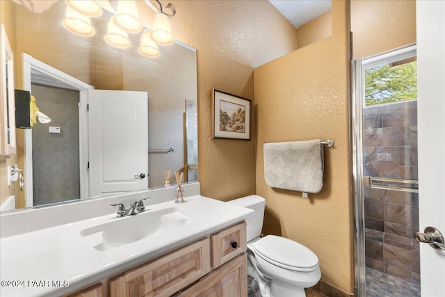 bathroom with vanity, toilet, and walk in shower