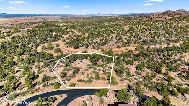 Listing photo 3 for 12900 W Cooper Morgan Trl, Prescott AZ 86305