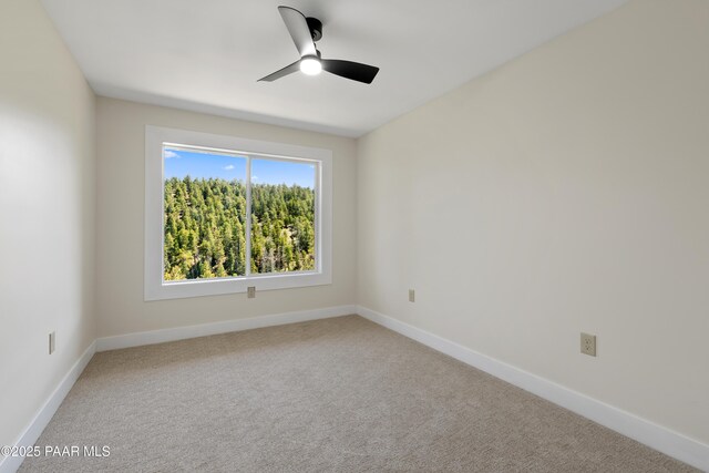 8847 S Hassayampa Circle E Drive, Prescott, AZ 86303 - photo 22