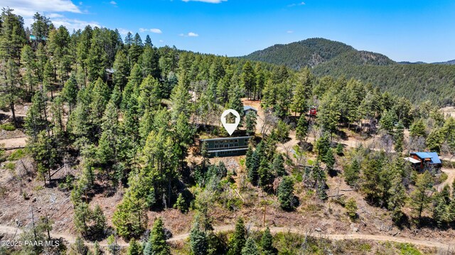 8847 S Hassayampa Circle E Drive, Prescott, AZ 86303 - photo 37