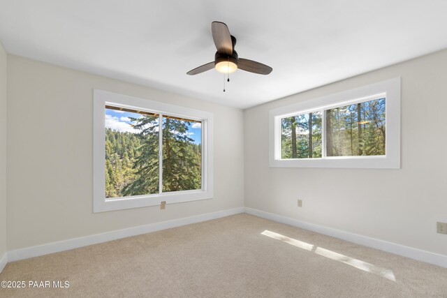 8847 S Hassayampa Circle E Drive, Prescott, AZ 86303 - photo 20