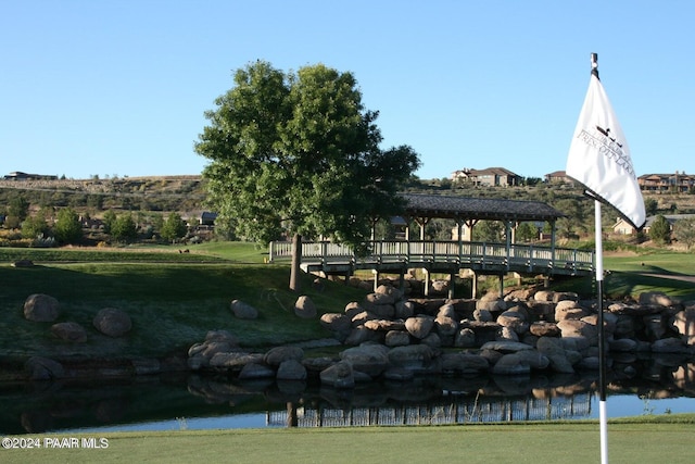 view of community featuring a yard