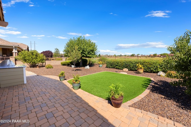 view of yard featuring a patio