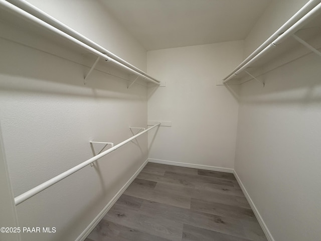 spacious closet featuring wood-type flooring