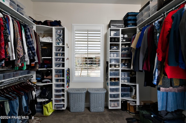 spacious closet with carpet floors