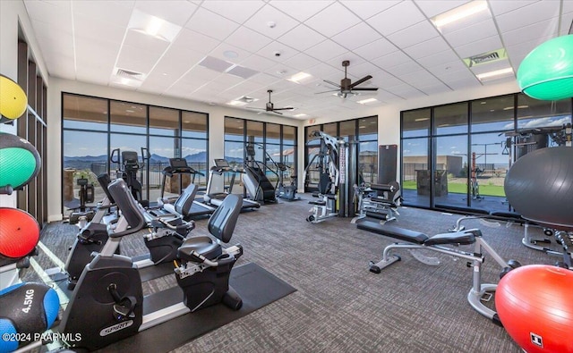 gym with a paneled ceiling, ceiling fan, carpet, and a wall of windows