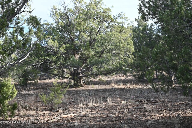 01 Edge Ridge Rd, Seligman, AZ 86337 - photo 19
