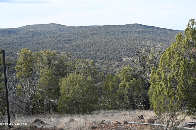 01 Edge Ridge Rd, Seligman, AZ 86337 - photo 5