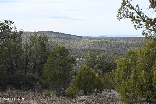 01 Edge Ridge Rd, Seligman, AZ 86337 - photo 25