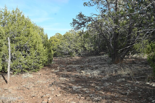 01 Edge Ridge Rd, Seligman, AZ 86337 - photo 13