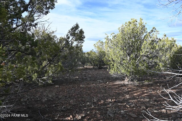 01 Edge Ridge Rd, Seligman, AZ 86337 - photo 18