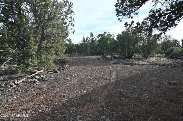 01 Edge Ridge Rd, Seligman, AZ 86337 - photo 21