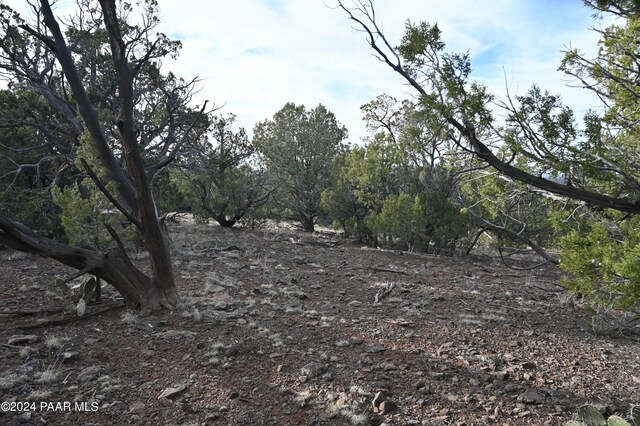01 Edge Ridge Rd, Seligman, AZ 86337 - photo 24