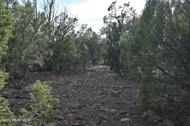 01 Edge Ridge Rd, Seligman, AZ 86337 - photo 20
