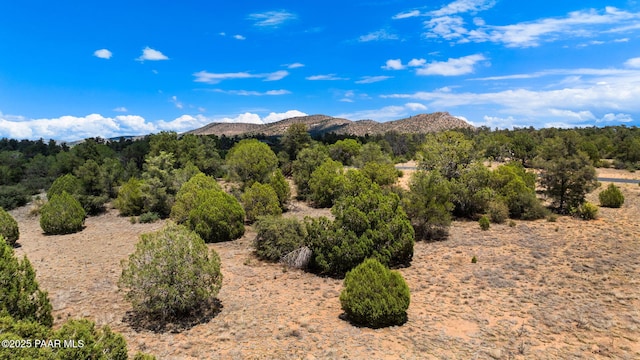 Listing photo 2 for 15580 N Molly Way, Prescott AZ 86305