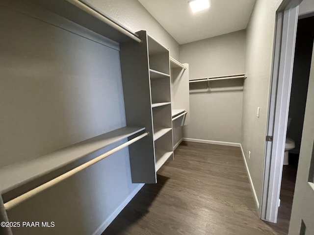5248 Tranquil Bluff Way, Prescott, AZ 86301 - walk in closet with dark wood-style flooring