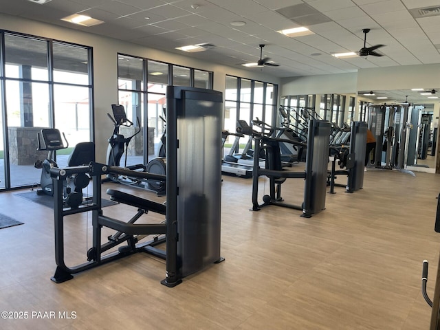 5248 Tranquil Bluff Way, Prescott, AZ 86301 - workout area featuring ceiling fan, a drop ceiling, and wood finished floors