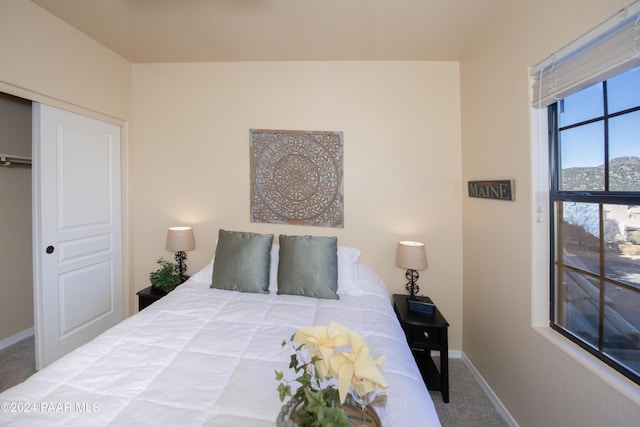 carpeted bedroom featuring a closet