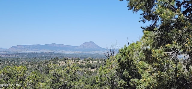 200 Cathedral Valley Dr, Ash Fork, AZ 86320 - photo 12