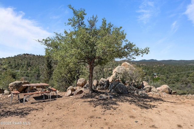 1420 Carlock Dr, Prescott, AZ 86305 - photo 64
