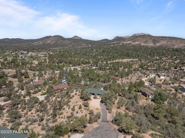 1420 Carlock Dr, Prescott, AZ 86305 - photo 38