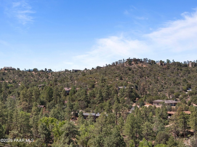 1420 Carlock Dr, Prescott, AZ 86305 - photo 35
