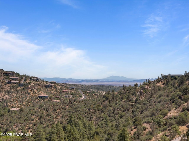 1420 Carlock Dr, Prescott, AZ 86305 - photo 60