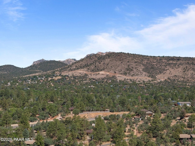 1420 Carlock Dr, Prescott, AZ 86305 - photo 36