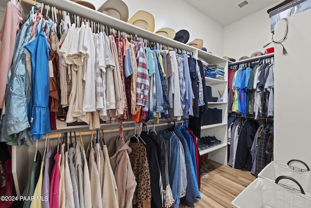 spacious closet with hardwood / wood-style floors