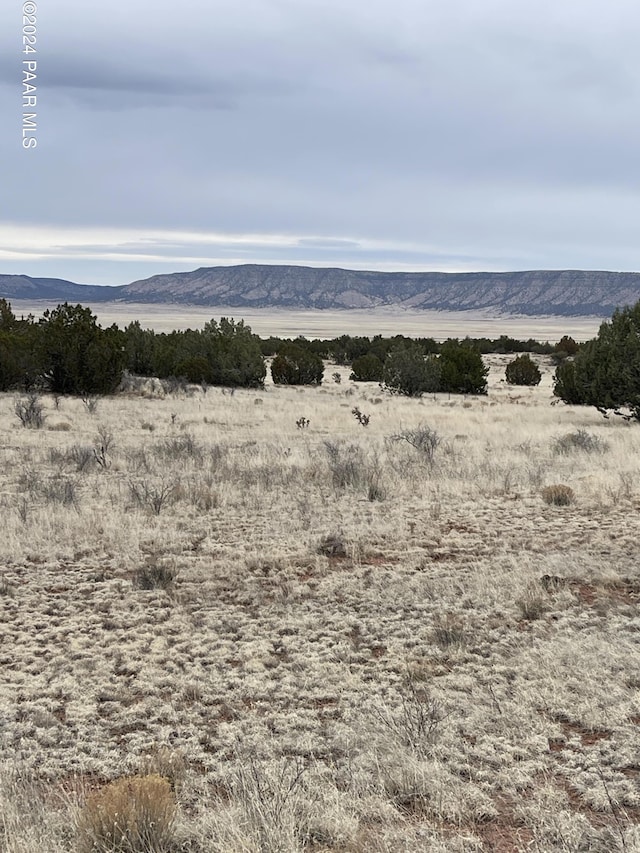 34280 La Plancha Pkwy, Seligman AZ, 86337 land for sale