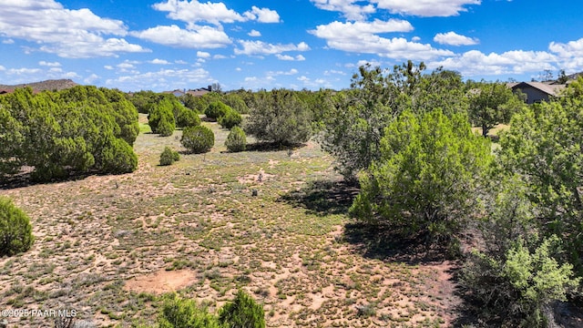 15385 N Double Adobe Rd, Prescott, AZ 86305 - photo 4