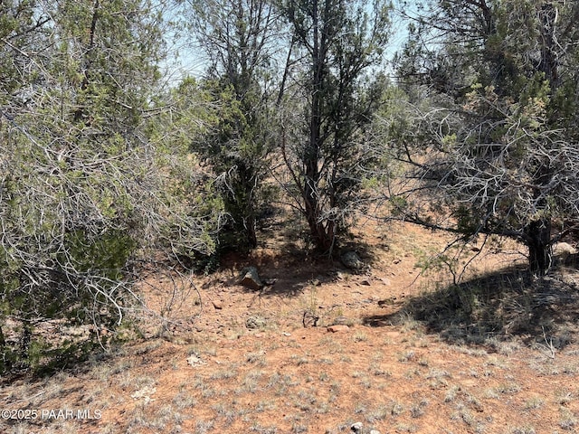 164 Rattlesnake Rd, Ash Fork, AZ 86320 - photo 13