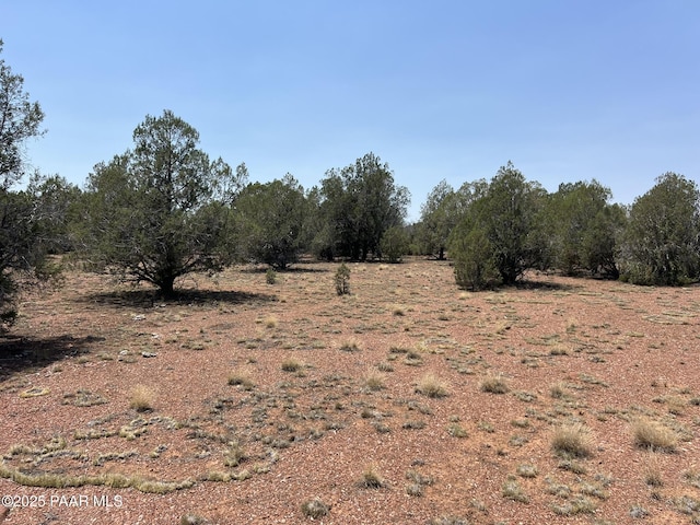 164 Rattlesnake Rd, Ash Fork, AZ 86320 - photo 5