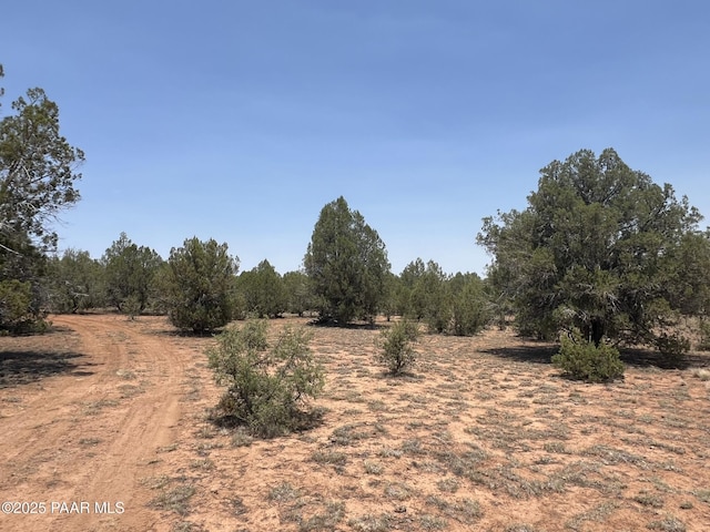 164 Rattlesnake Rd, Ash Fork, AZ 86320 - photo 9