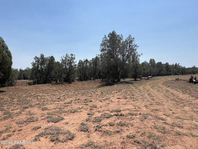 164 Rattlesnake Rd, Ash Fork, AZ 86320 - photo 11