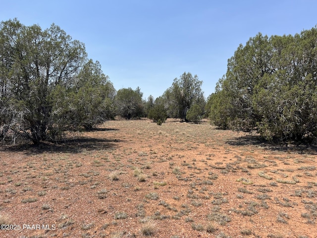 164 Rattlesnake Rd, Ash Fork, AZ 86320 - photo 4