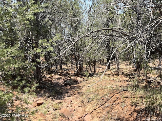 164 Rattlesnake Rd, Ash Fork, AZ 86320 - photo 18