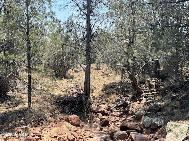 164 Rattlesnake Rd, Ash Fork, AZ 86320 - photo 19